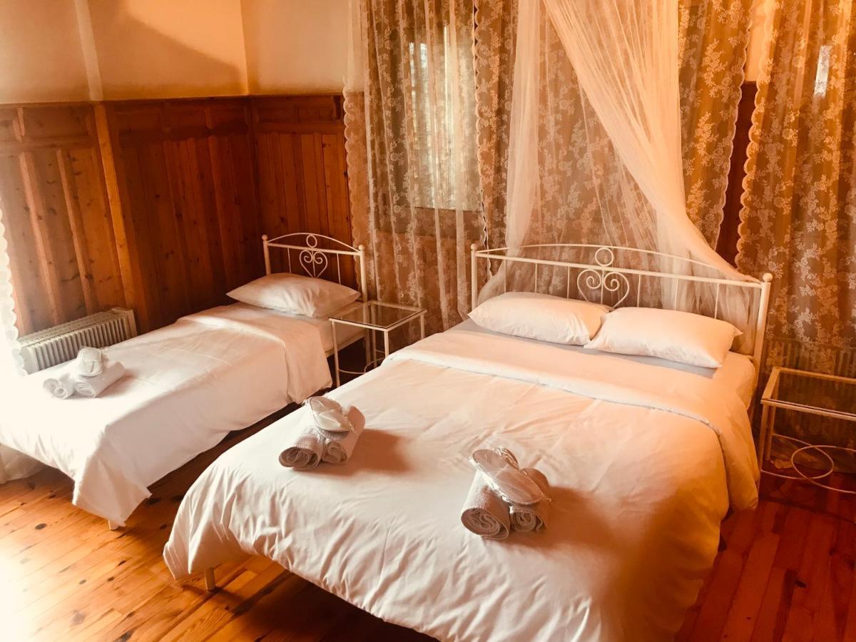 9Mouses Chasiotis Guest House Ampelakia Экстерьер фото