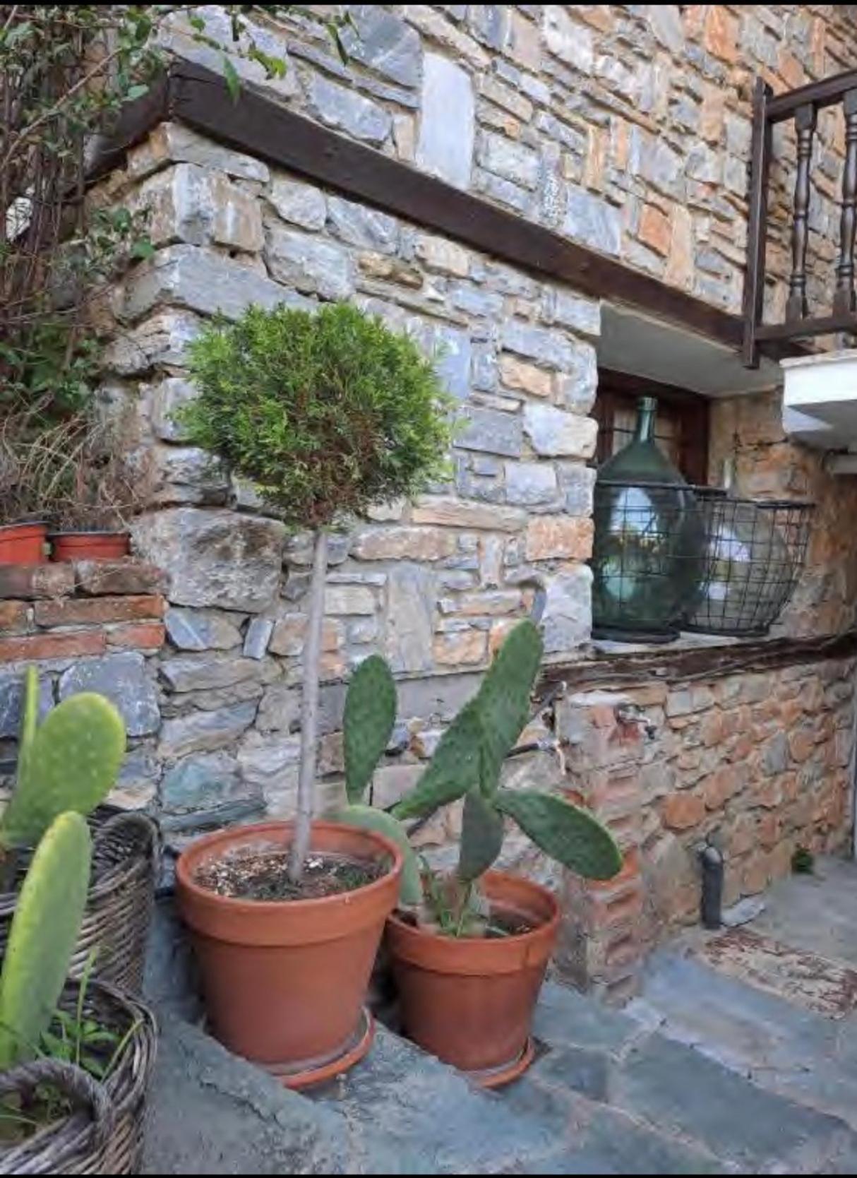 9Mouses Chasiotis Guest House Ampelakia Экстерьер фото